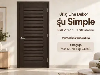 ประตู LINEDEKOR (โครงเหล็กบานทึบ) 14