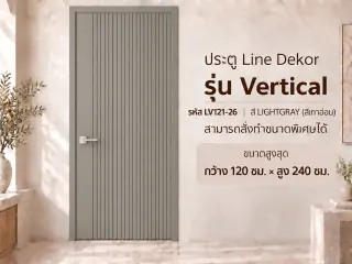 ประตู LINEDEKOR (โครงเหล็กบานทึบ) 8