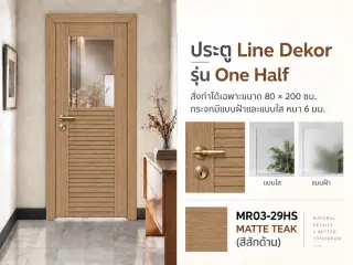 ประตู LINEDEKOR (แบบมีช่องกระจก) 1