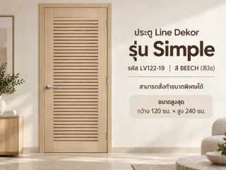 ประตู LINEDEKOR (โครงเหล็กบานทึบ) 15