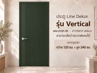 ประตู LINEDEKOR (โครงเหล็กบานทึบ) 12
