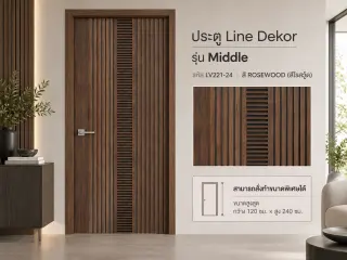 ประตู LINEDEKOR (โครงเหล็กบานทึบ) 23