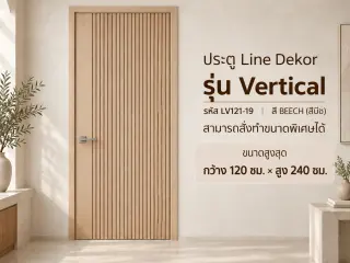 ประตู LINEDEKOR (โครงเหล็กบานทึบ) 5