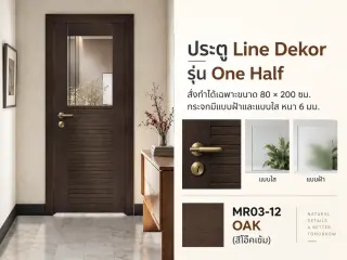 ประตู LINEDEKOR (แบบมีช่องกระจก) 1