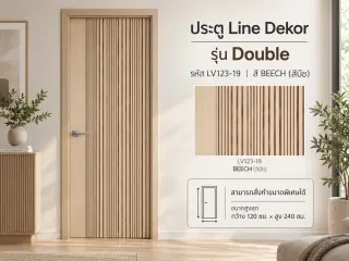 ประตู LINEDEKOR (โครงเหล็กบานทึบ) 19