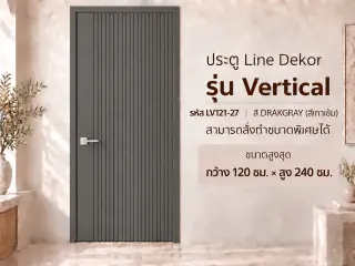 ประตู LINEDEKOR (โครงเหล็กบานทึบ) 9