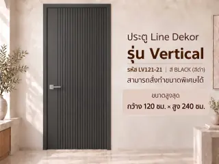 ประตู LINEDEKOR (โครงเหล็กบานทึบ) 6