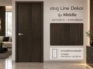 ประตู LINEDEKOR (โครงเหล็กบานทึบ) 21