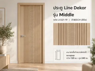 ประตู LINEDEKOR (โครงเหล็กบานทึบ) 22