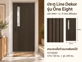 ประตู LINEDEKOR (แบบมีช่องกระจก) 1
