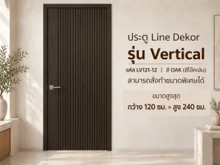 ประตู LINEDEKOR (โครงเหล็กบานทึบ) 3