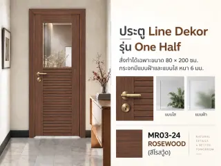 ประตู LINEDEKOR (แบบมีช่องกระจก) 2