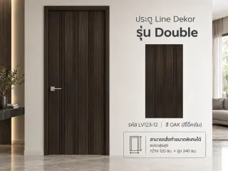 ประตู LINEDEKOR (โครงเหล็กบานทึบ) 18