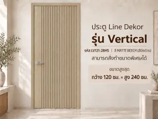ประตู LINEDEKOR (โครงเหล็กบานทึบ) 10